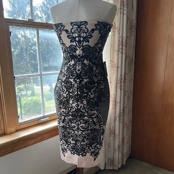 Express (NWT)- Black and White Strapless Sheath Dress - Picture 5 of 16